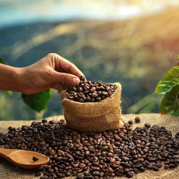 Coffee Beans